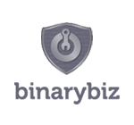 binarybiz logo